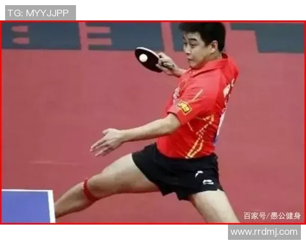 西安羽毛球队反击之路的得失与启示分析